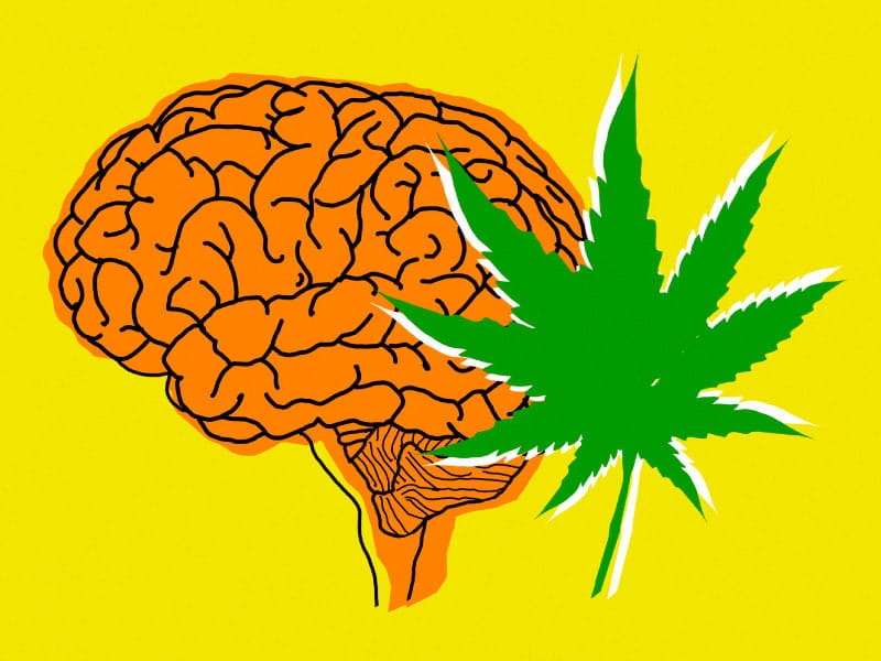 Cannabis Statistics